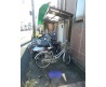 DSCN0277.JPG