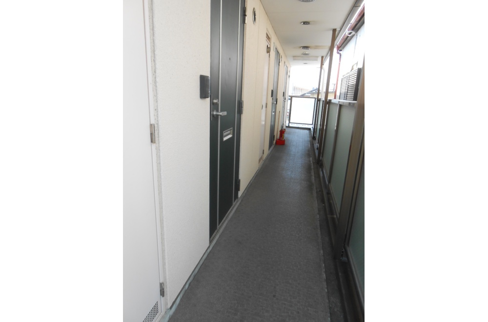 DSCN5790.JPG