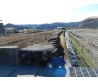 DSCN4202.JPG